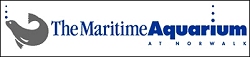 The Maritime Aquarium at Norwalk