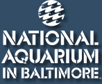 National Aquarium in Baltimore, MD